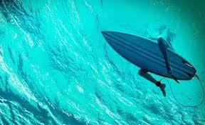 Karanlik Sular The Shallows Dev Bir Kopek Baligi Saldirisi 2020 Kopek Baligi Sinema Film