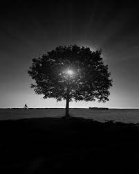 I Invite You To Discover The Beautiful Black And White Photos Of Jason M Peterson An American P White Photography Black And White Photography Black And White