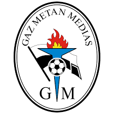 You can use it in your daily design, your own artwork and your team project. Cs Gaz Metan Medias Logo Football Logos