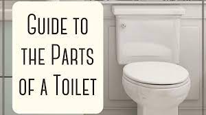 In our labs, we connect each toilet to a specially built plumbing system that measures the volume and flow of water into. What Are The Parts Of A Toilet With Diagram Dengarden