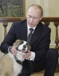 Russian president vladimir putin, a dog lover, received a top breed puppy as a belated birthday present on putin introduces his dog to japanese media. 110 Vladimir Putin Ideas Vladimir Putin Putin Vladimir