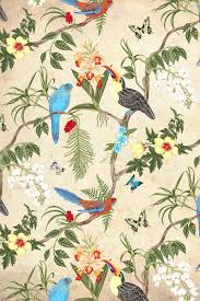 Blooming plumeria flowers, birds and monstera leaves background for fabric, wallpaper, textile. Portfolio Bird Wallpaper Floral Wallpaper Chinoiserie Wallpaper