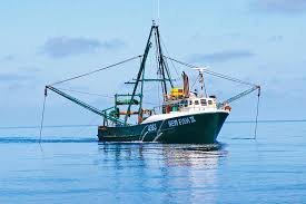 Image result for trawling