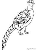 Make a coloring book with gambel's california quail for one click. Quail Coloring Pages