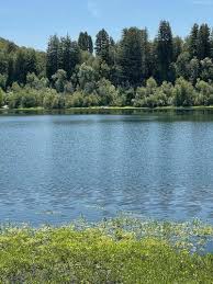You may see geese, egrets, herons, hawks, woodpeckers, owls, jays, warblers, sparrows, and other birds while enjoying a walk around the lake. Best Trails In Riverfront Regional Park California Alltrails
