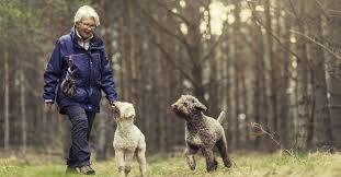 Check spelling or type a new query. Life After Knee Replacement Hss Ranked 1 For Orthopedics