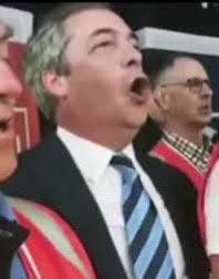 Tom Nestor (@tomnestorcomic)