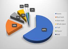 Image result for Agrocharis incognita