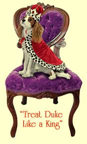 Make your pets look & feel their best. King S Royal Pet Grooming Wilmington Tewksbury Ma