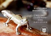 marship Handmade Accessories Leopard Gecko Silver Necklace [MS-T-1]