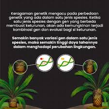 Keanekaragaman hayati tercermin dalam perbedaan. Wwf Indonesia On Twitter Keanekaragaman Hayati Adalah Semua Keindahan Dan Keragaman Yang Kamu Lihat Jika Sedang Berada Di Lingkungan Alam Atau Ekosistem Hutan Gurun Rawa Pantai Gunung Dll Termasuk Kamu Di Dalamnya Unityinbiodiversity
