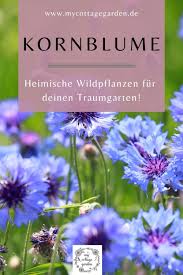 Pin Auf Garten Und Balkon Ideen