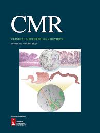 SARS-CoV-2 Antiviral Therapy | Clinical Microbiology Reviews