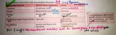 Malignant pleural mesothelioma is a highly aggressive tumor associated with. Pin On Mesothelioma