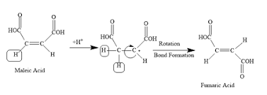 Experiment 21 The Isomerization Of Maleic Acid To Fumaric Acid Introduction  The Names Of The Two Dicarboxylic Acids Are Maleic Acid And Fumaric Acid.  Below Are The Structures Of These Acids. They
