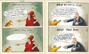 Til That In 1982 The Comic Strip The Far Side Jokingly Referred To The Set Of Spikes On A Stegosaurus S Tail As A Thagomizer A Paleontologist Who Read The Comic Realized There Animated cartoon from my third studies year. comic strip the far side