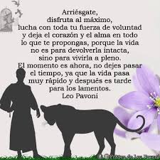 El Momento Es Ahora No Dejes Pasar El Tiempo Leopavoni Frasesdeleopavoni Reflexionesdeleopavoni Frases Bonitas Frases Motivadoras Frases Sabias