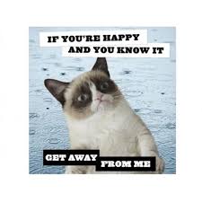 If You Happy And You Know It Say Meow If You Re Happy And You Know It Get Away From Me Grumpy Cat Grumpy Cat Quotes Grumpy Cat Meme