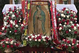Check spelling or type a new query. Flores Para La Virgencita De Guadalupe Christmas Wreaths Flower Creation Holiday Decor
