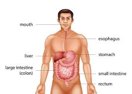 So, you should be familiar with colonoscopy (if you aren't already). What Is Colorectal Cancer Colorectal Cancer Alliance