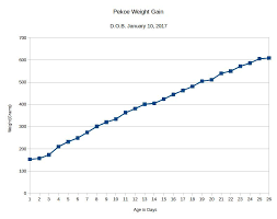 40 Prototypic Kitten Weight Chart 14 Weeks