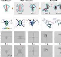 Bioinspired Microhinged Actuators for Active Mechanism‐Based ...