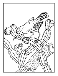 Free Printable Cactus Coloring Pages For Kids Bird Coloring Pages Flower Coloring Pages Animal Coloring Pages