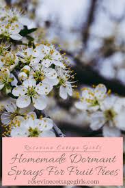 Omri listed for organic use. Homemade Fruit Tree Sprays Organic Dormant Sprays