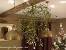 Christmas Mistletoe Decoration