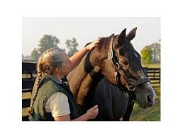 Humans were born in the wild. Wild Again Euthanized At Age 28 Bloodhorse