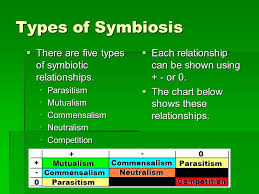 Symbiotic Relationships 8 Th Grade Science Objectives Of The