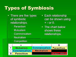 symbiotic relationships 8 th grade science objectives of the