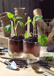 30 Gifs For Photographers Your Visual Motion Inspiration Monsterpost Mint Chocolate Desserts Cake Toppings