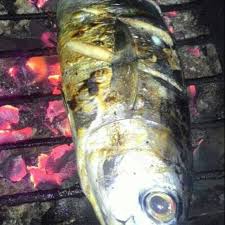 Ikan di lumuri dengan bumbu . Ikan Tongkol Bakar Shopee Indonesia