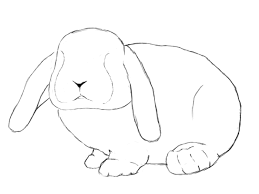 Draw a circle with an overlapping pear shape, the circle will work as the head, and the pear shape is the body. How To Draw A Bunny Step By Step Draw Central