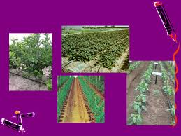 Here are 2 possible meanings. Micro Irrigation System Ppt Download
