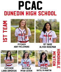 DHS Softball (@DHS_Sftbl)