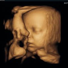 Analisa and Tracey Weber's Baby Registry at Babylist