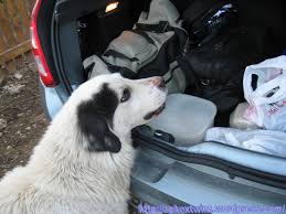 Oferta paste traditional in bucovina, 2020 vopsea lavabila exterior cuartz emex qt vopsea lavabila premium emex gold super oferta lanturi de zapada total race oferta lanturi antiderapante total race bmw 118 e87 2.0d pachet m sadsa adsa firma de curatenie in campina despre minare. Paste 2010 In Bucovina Aphex