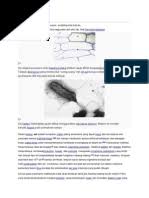 Diakses pada tanggal 12 juni 2020. Jurnal Sel Pdf