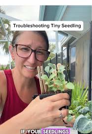 Essential Fertilizer Tips for Healthy Seedlings