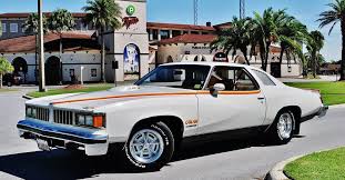 Image result for Alpine White 1977 AMC