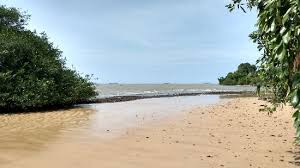 Autoria e outros dados (tags, etc). Praia Do Bispo Picture Of Bispo Beach Mosqueiro Tripadvisor