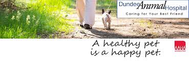 Maybe you would like to learn more about one of these? Dundee Animal Hospital Linkedin