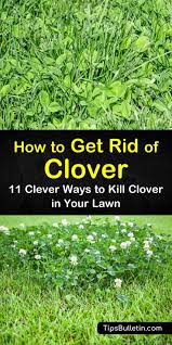 I keep pulling and pulling, but i can not seem to keep up with them at all. 11 Clever Ways To Get Rid Of Clover In Your Lawn