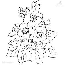 Get crafts, coloring pages, lessons, and more! 1001 Coloringpages Plants Flowers Flowers Coloring Page
