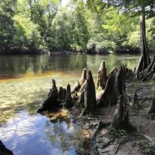 The santa fe river which runs for 46 miles from the headwaters near lake peak (12,408 feet) to the confluence with the rio grande (5,220 feet) is the center point of the santa fe river watershed. Kayaking Santa Fe River Splendid Springs Scenery