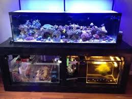 Brett Cumbia My Aquarium Is A 125 Gallon Mixed Reef With A Custom Made 55 Gallon Sump And A 50 Gallon Refugium Reef Tank Aquascaping Saltwater Tank Reef Tank