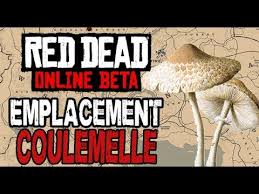 Check spelling or type a new query. Red Dead Online Emplacement Coulemelle Youtube