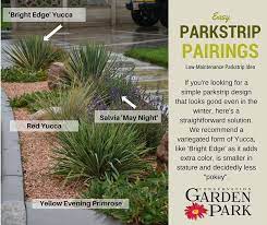 A Mix Of Mounded Plants And Spiky Ones Creates Beauty And Interest In This West Valley Water Wise Landscaping Front Lawn Landscaping Front Yard Garden Design